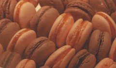 macarons,coques,encyclopédie du chocolat,four,meringue italienne