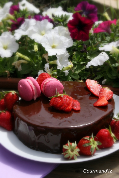 entremet fraise et chocolat, mousse de fraises, bavaroise aux fraises