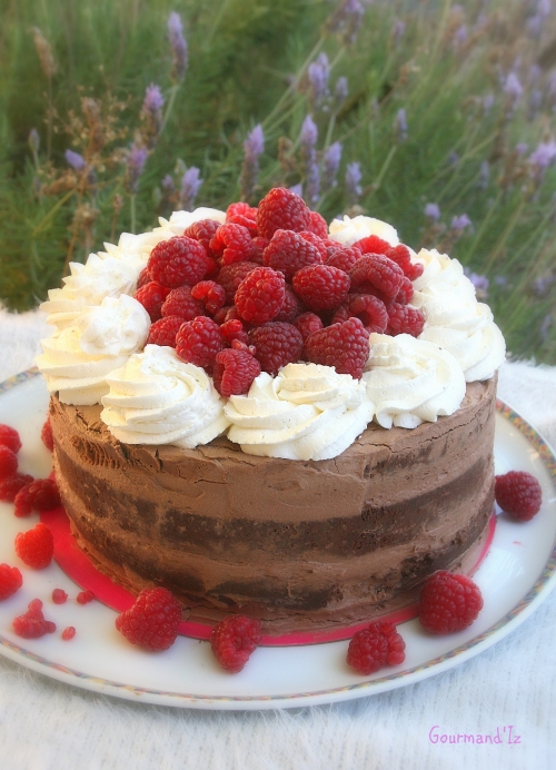 molly cake, chocolat, mousse chocolat, naked cake chocolat, framboises
