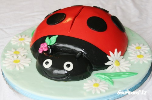 Ladybird 3D, ladybird cake, coccinelle 3D, gâteau coccinelle